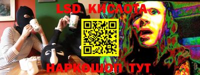 PSILOCYBIN Брянск